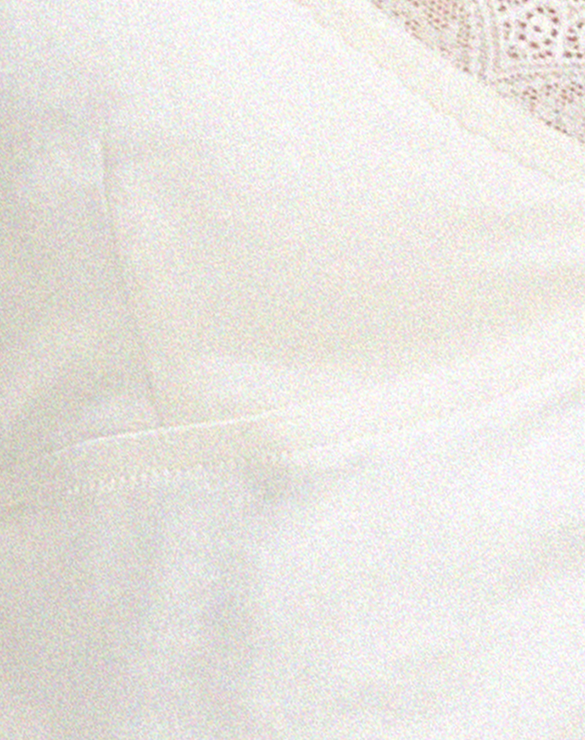 Apulia Butterfly Top in Satin Ivory