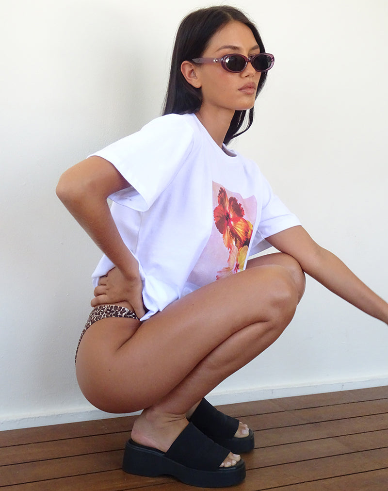 Ametra Oval Sunglasses in Opaque Purple