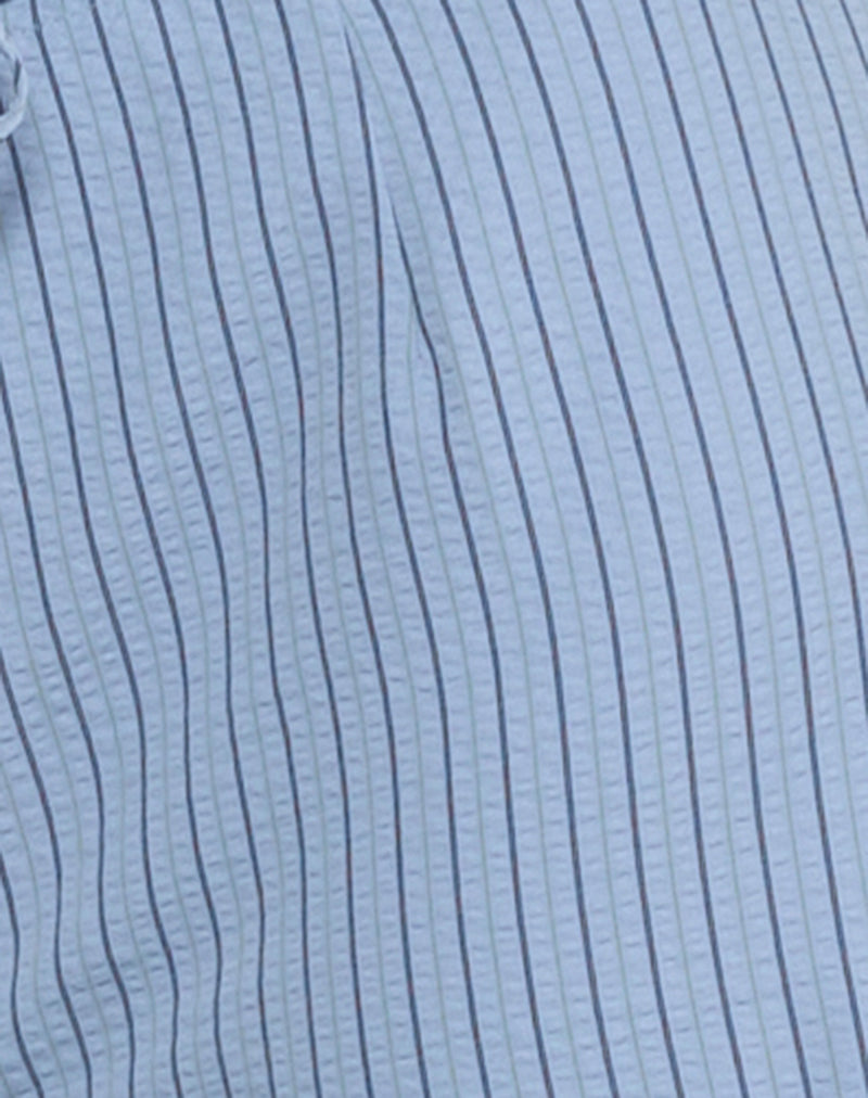 Bruna Cargo Trouser in Blue Stripe