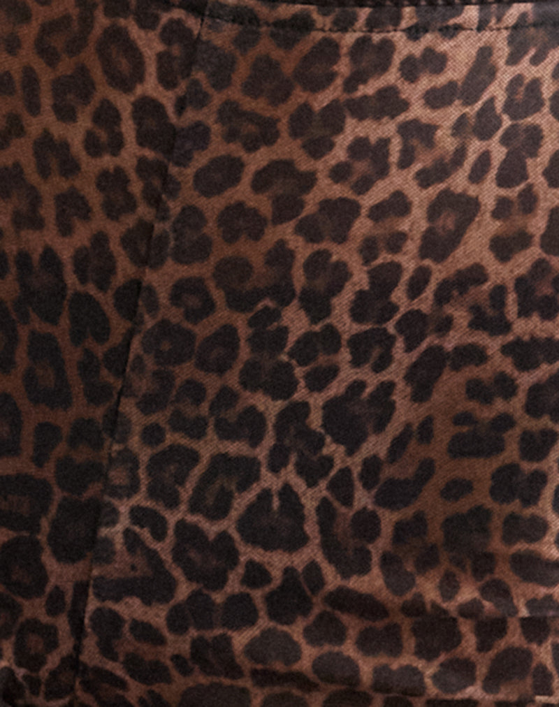 Ciana Hot Pants in Mesh Rar Leopard