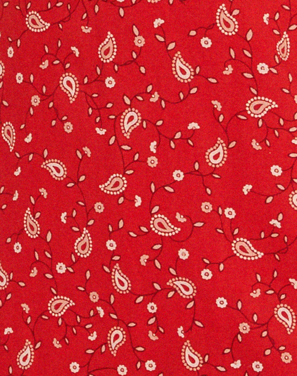 Eluned Day Dress in Paisley Fun Red