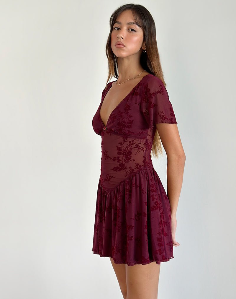 Geni Mini Dress in Botanical Flower Maroon