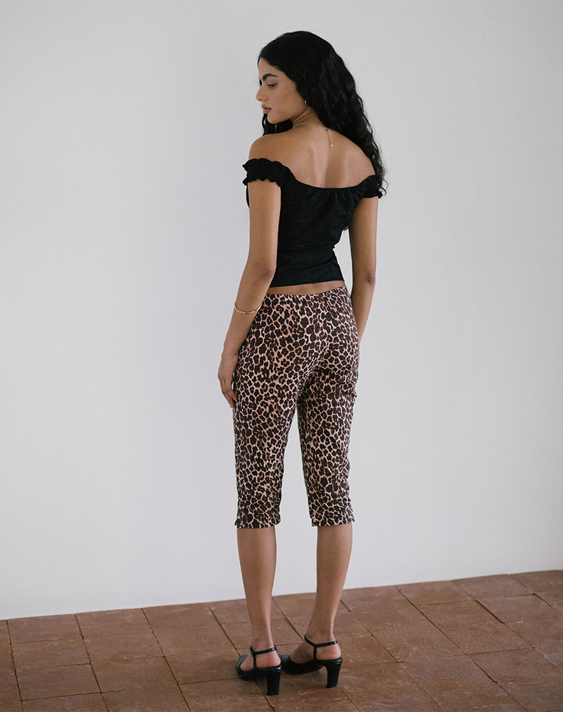 Japri Pushers in Rar Leopard Sandstorm