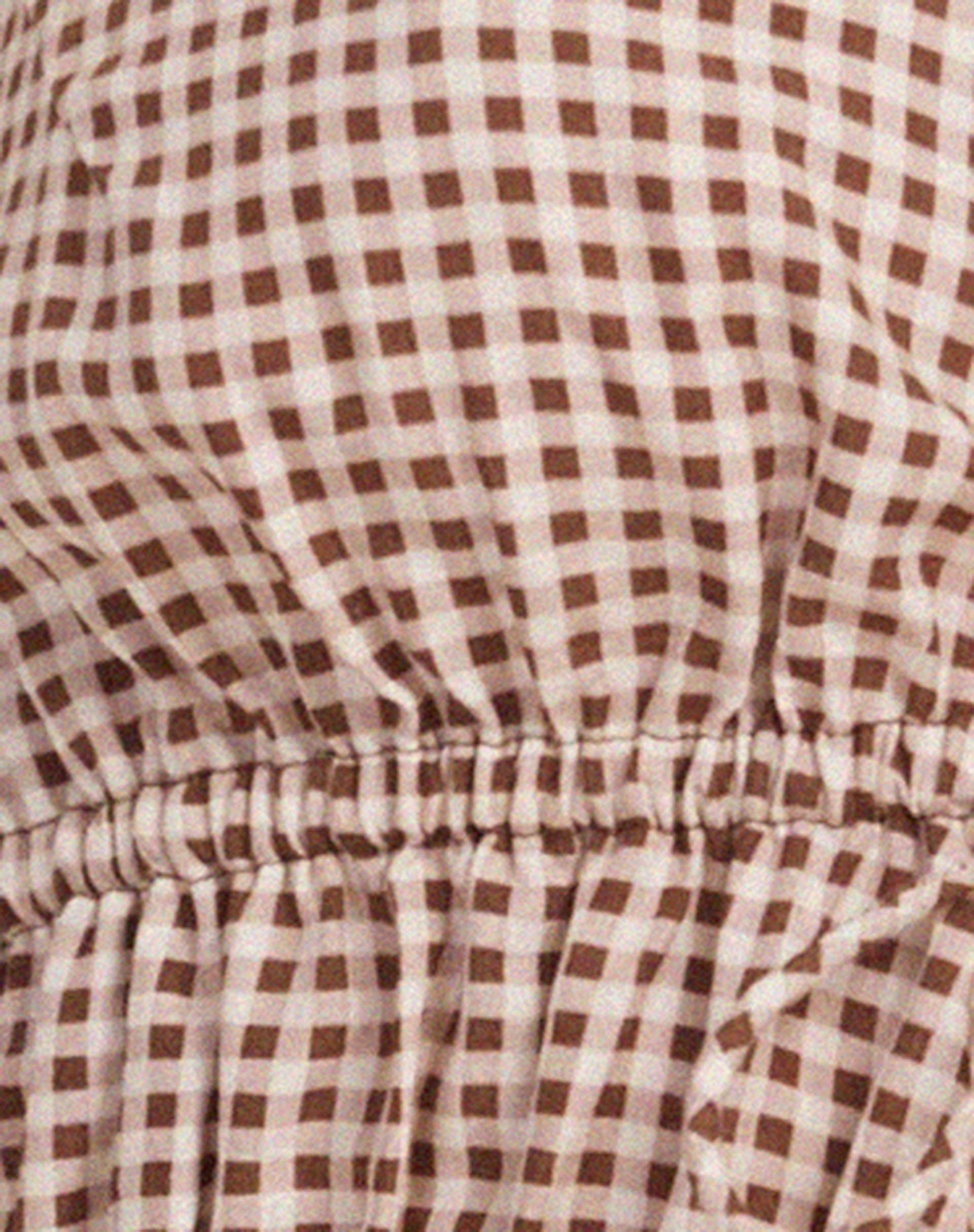 Kayson Crop Top in Mini Gingham