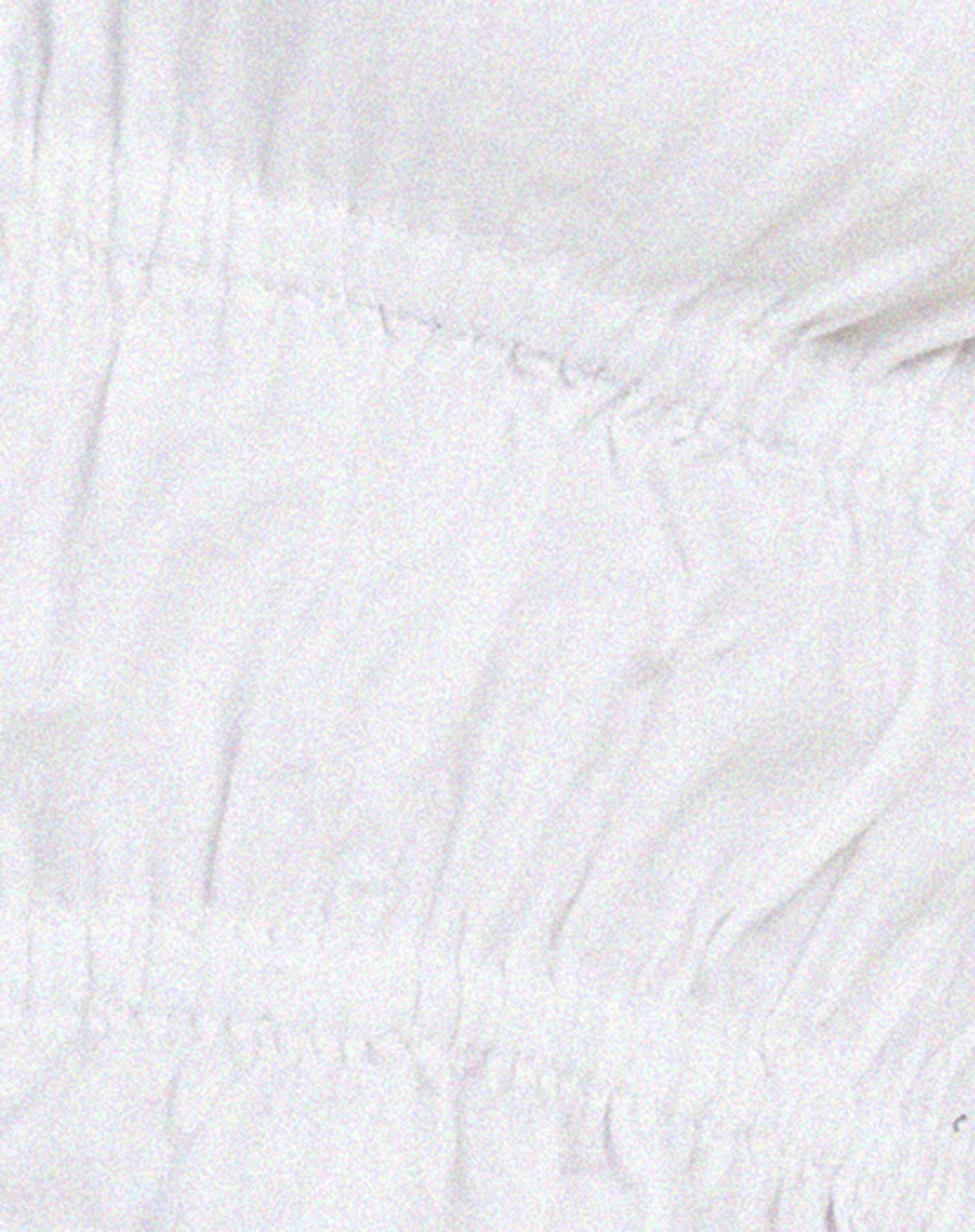 Kayson Crop Top in White