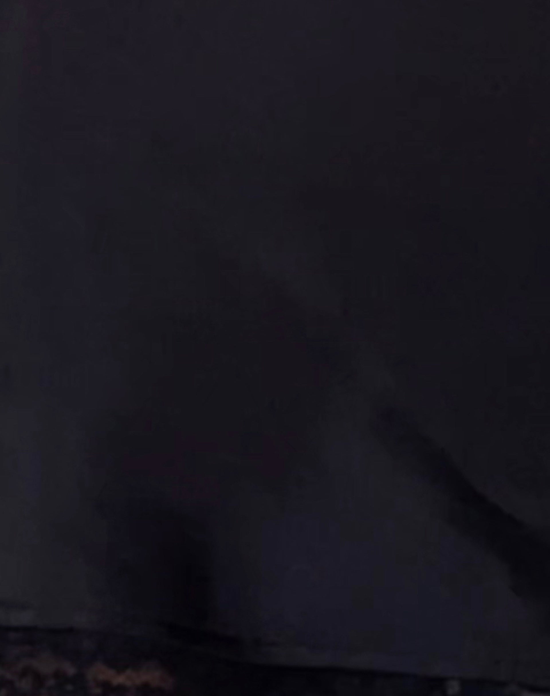 Larna Lace Trim Satin Mini Dress in Black