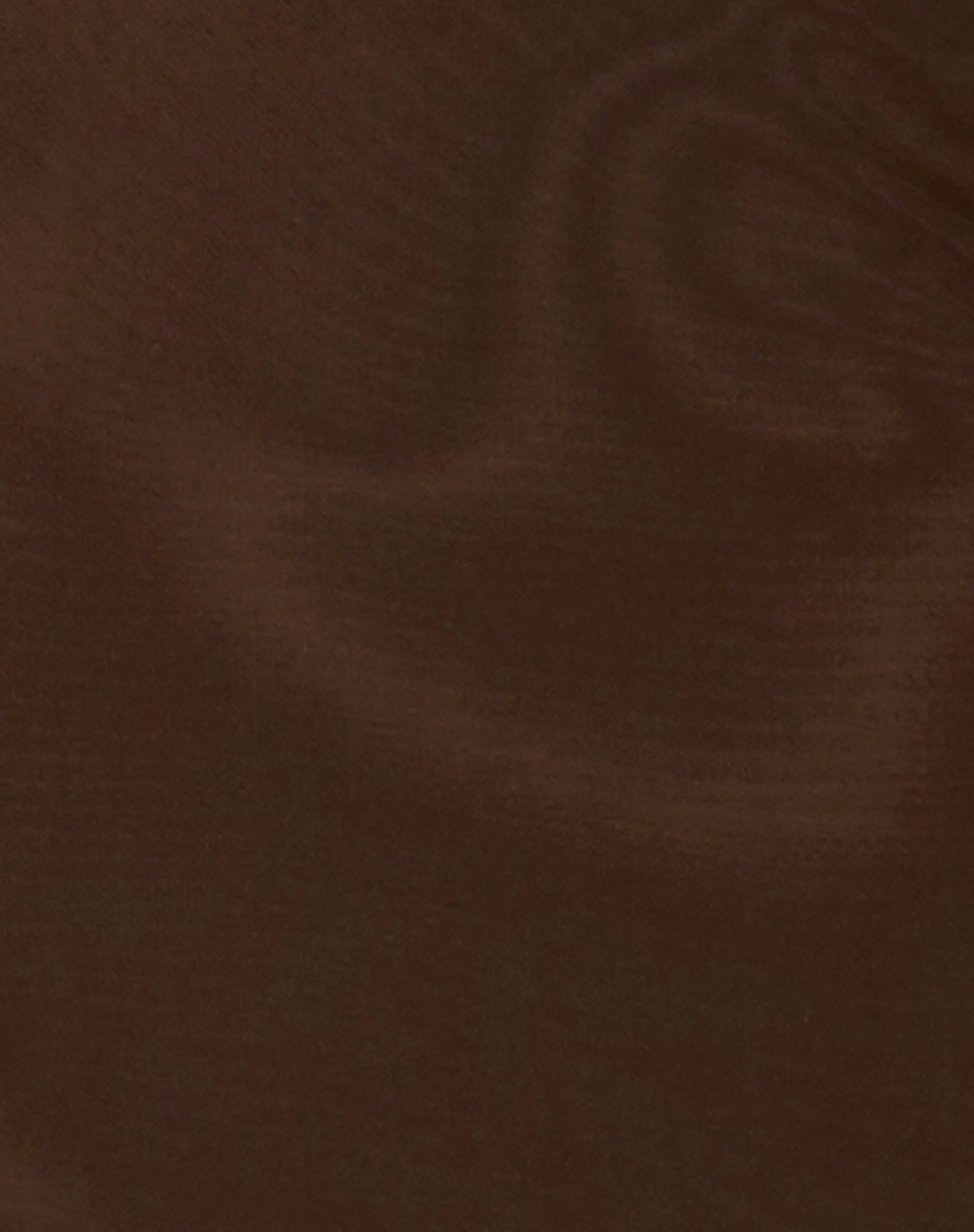 Lassie Midi Skirt in Mesh Brown