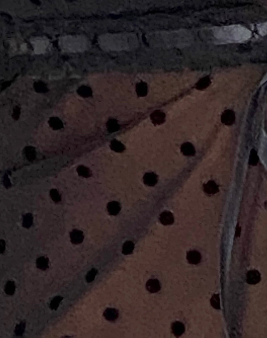 Lavanya Butterfly Top in Polka Black Flock