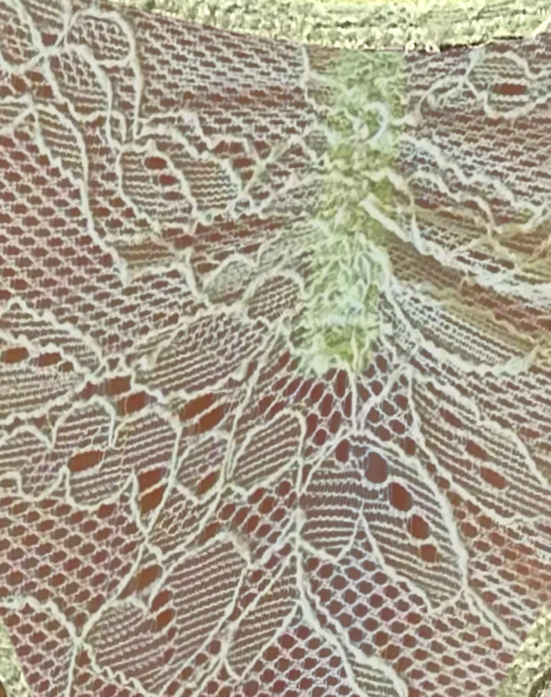 Kukila Brazilian Knicker in Lace Pastel Green