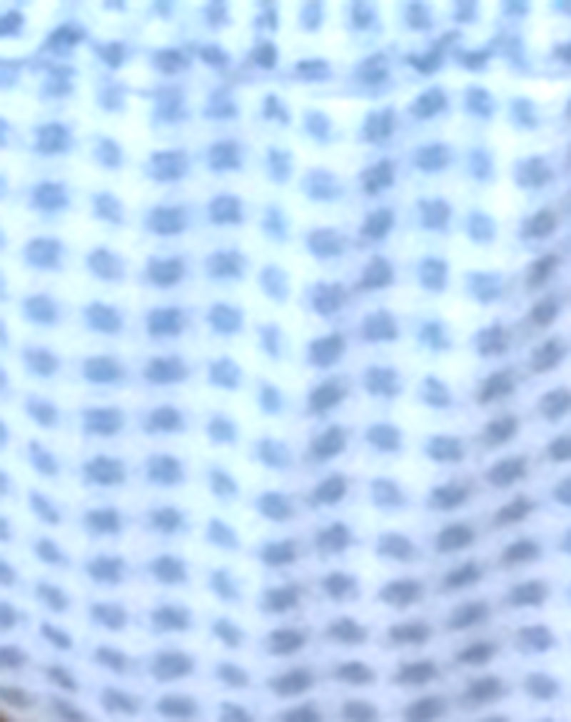 Leyna Bikini Bottom in Blue Gingham