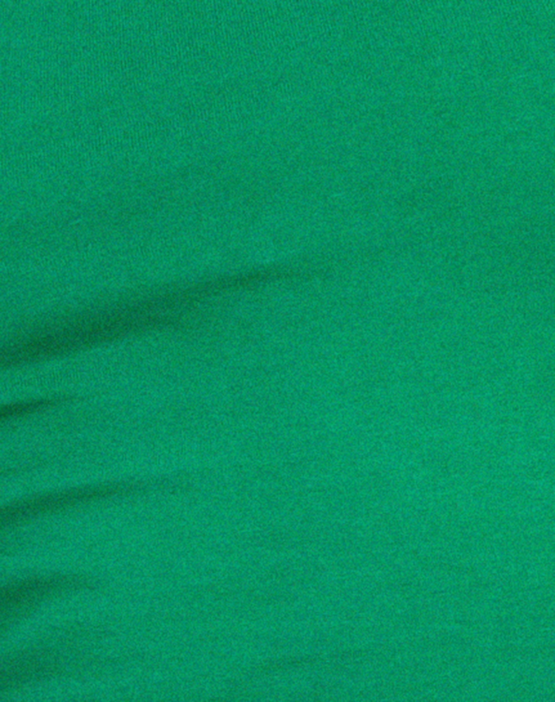 Monlo Top in Bush Green