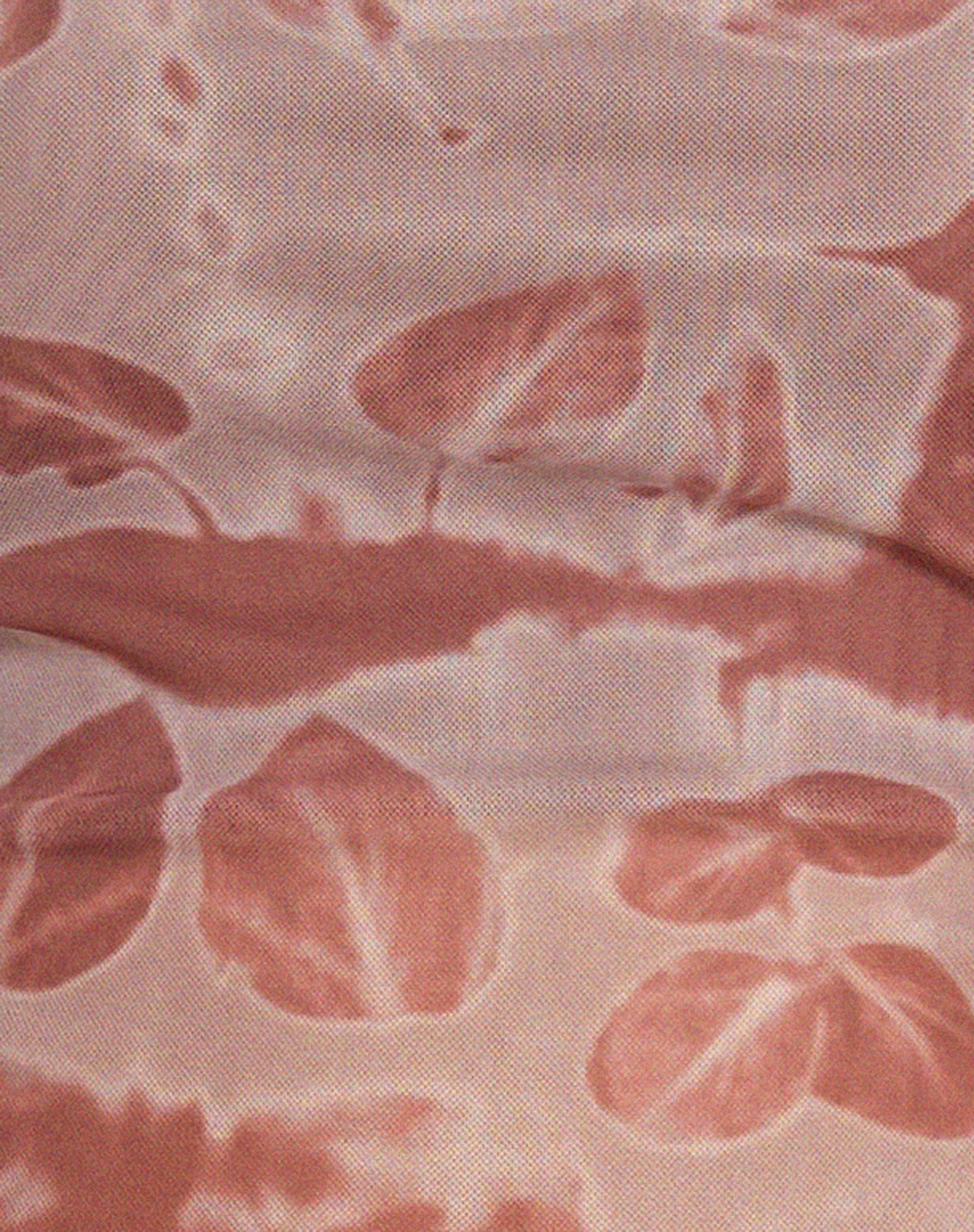 Nadhira Long Sleeve Mesh Bardot Top in Botanical Bleed Warm Grey