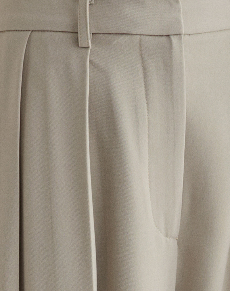 Nala Wide Pleat Trouser in Taupe Tailoring