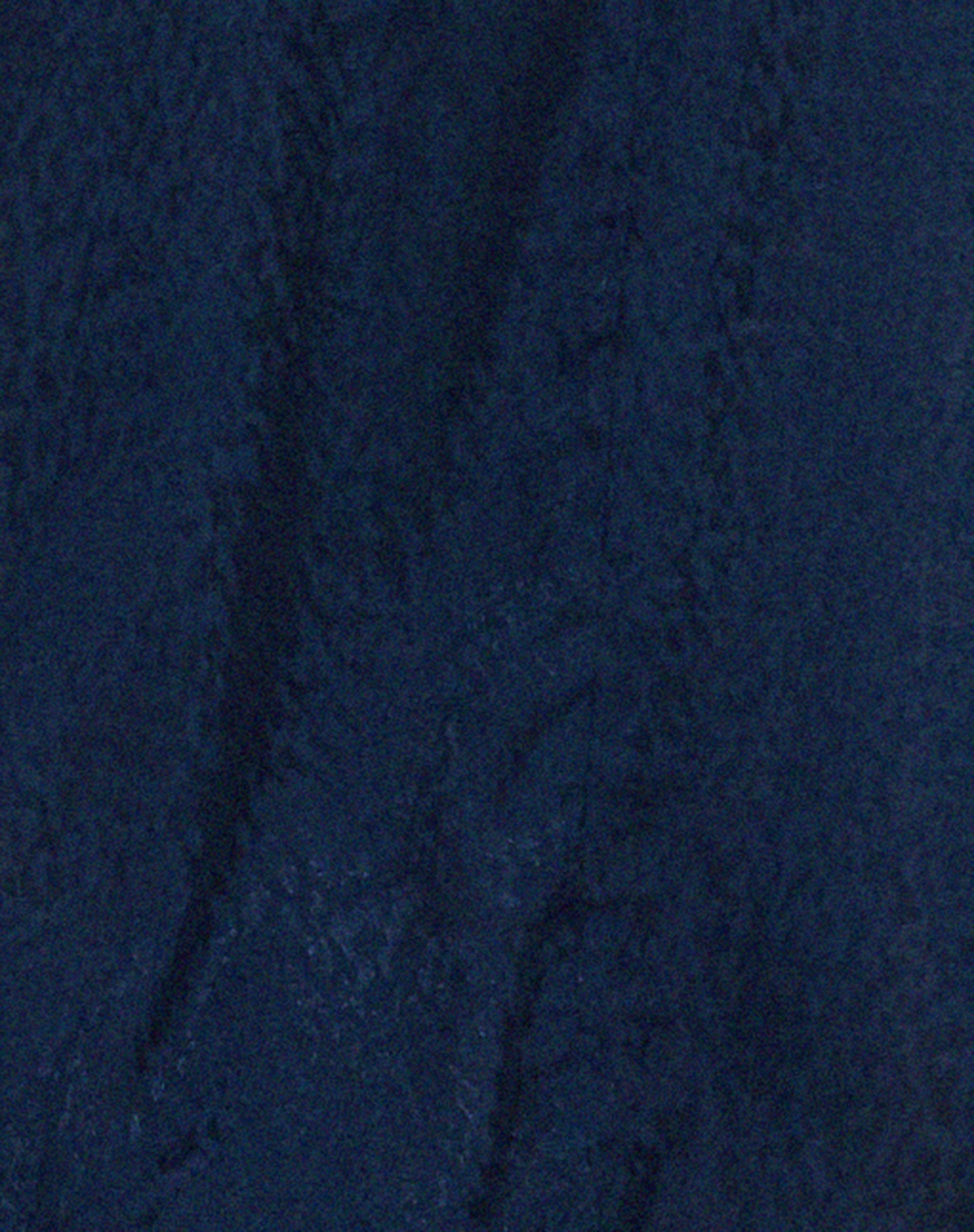 Nosita Midi Dress in Satin Cheetah Navy