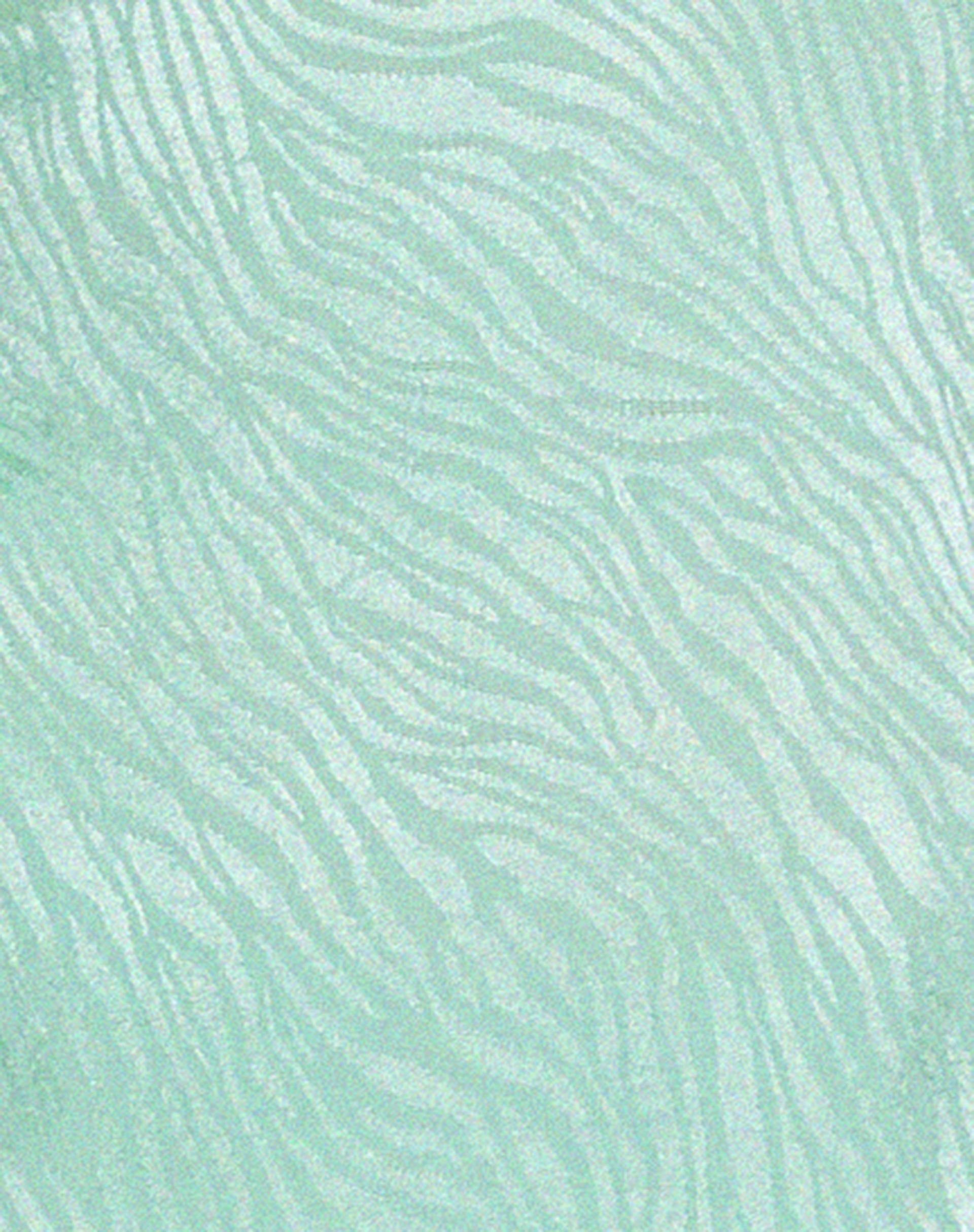 Nosita Midi Dress in Satin Zebra Mint Green