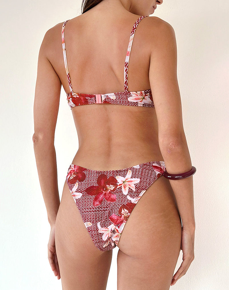 Pali Bikini Top in Zig Zag Lily Burgundy