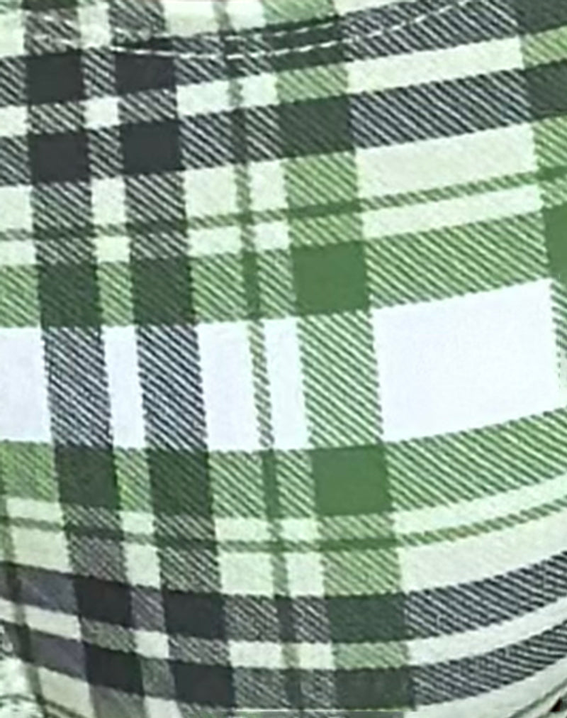 Farida Bikini Bottom in Green Tartan