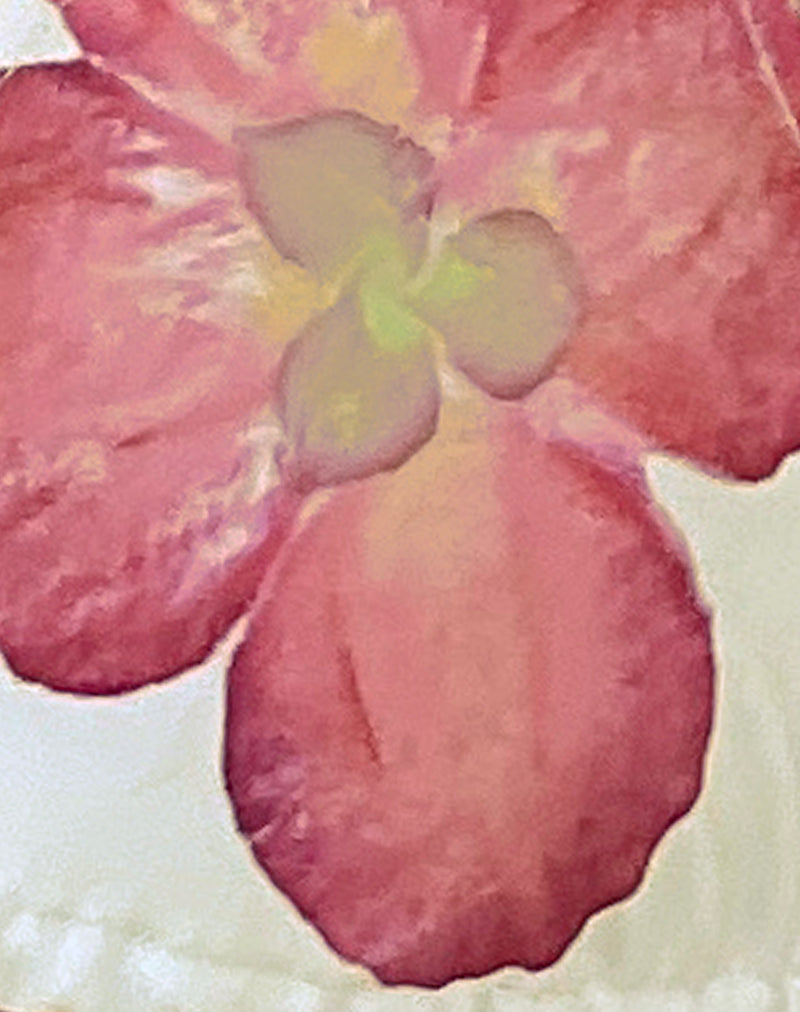 Kairi Bikini Bottom in Ivory with Pink Orchid