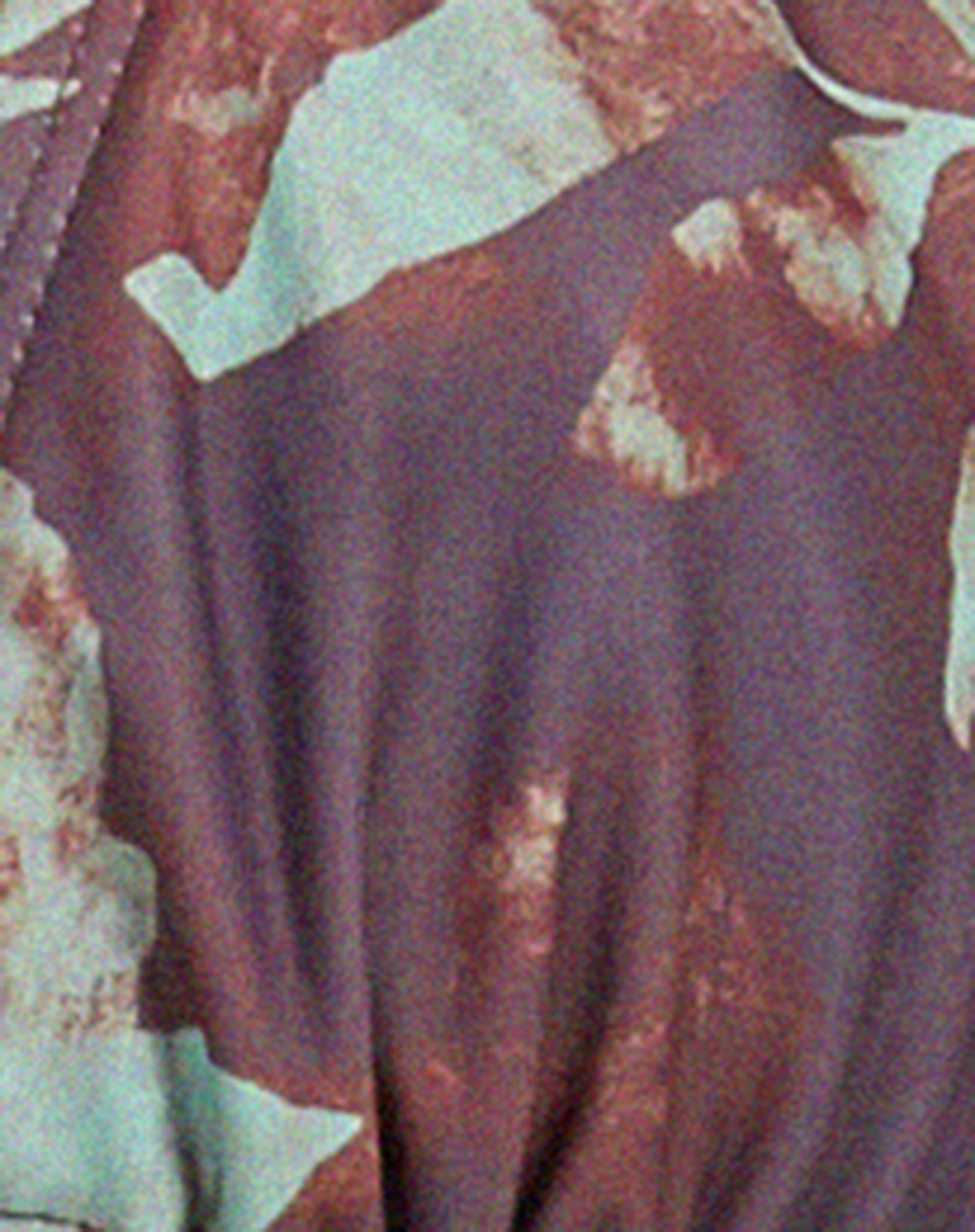 Pami Bikini Top in Botanical Animal Brown