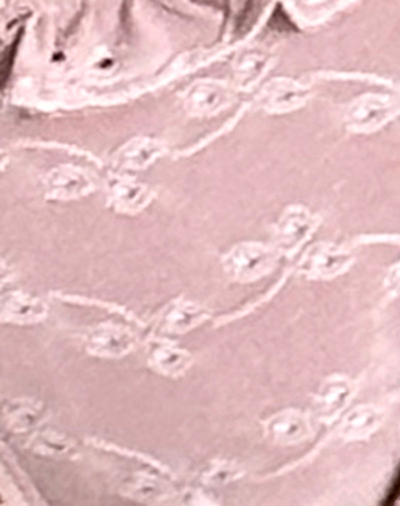 Lentra Ruffle Bikini Bottoms in Broderie Blush Pink