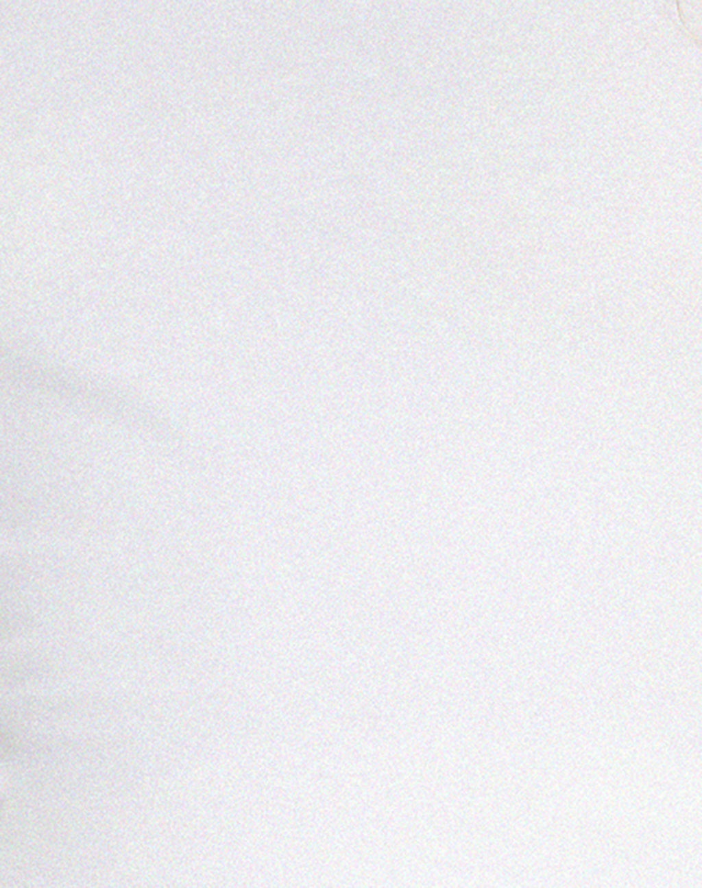 Pico Bardot Top in White