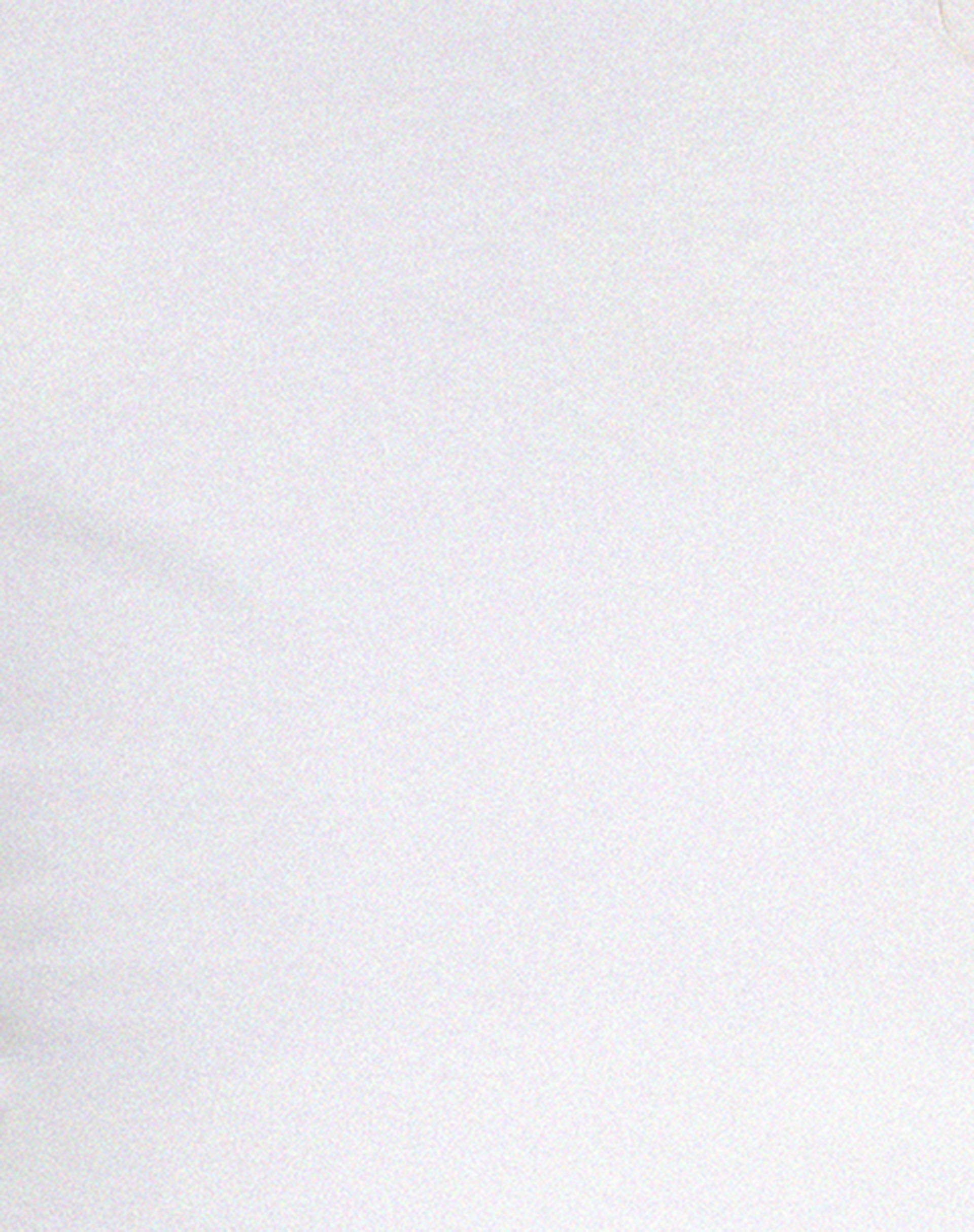 Pico Bardot Top in White