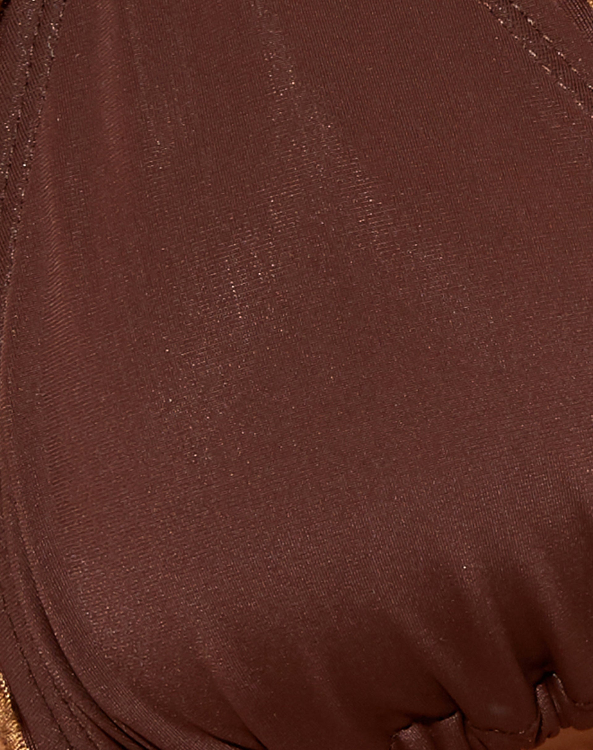 Pumy Triangle Bikini Top in Choco Brown