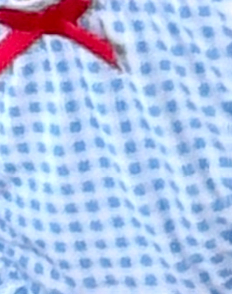 Pumyla Bikini Top in Blue Gingham with Bows