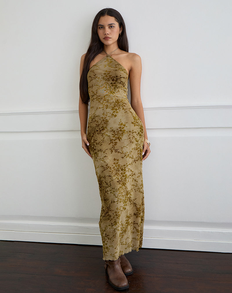 Rabika Maxi Dress in Burn Velvet Green