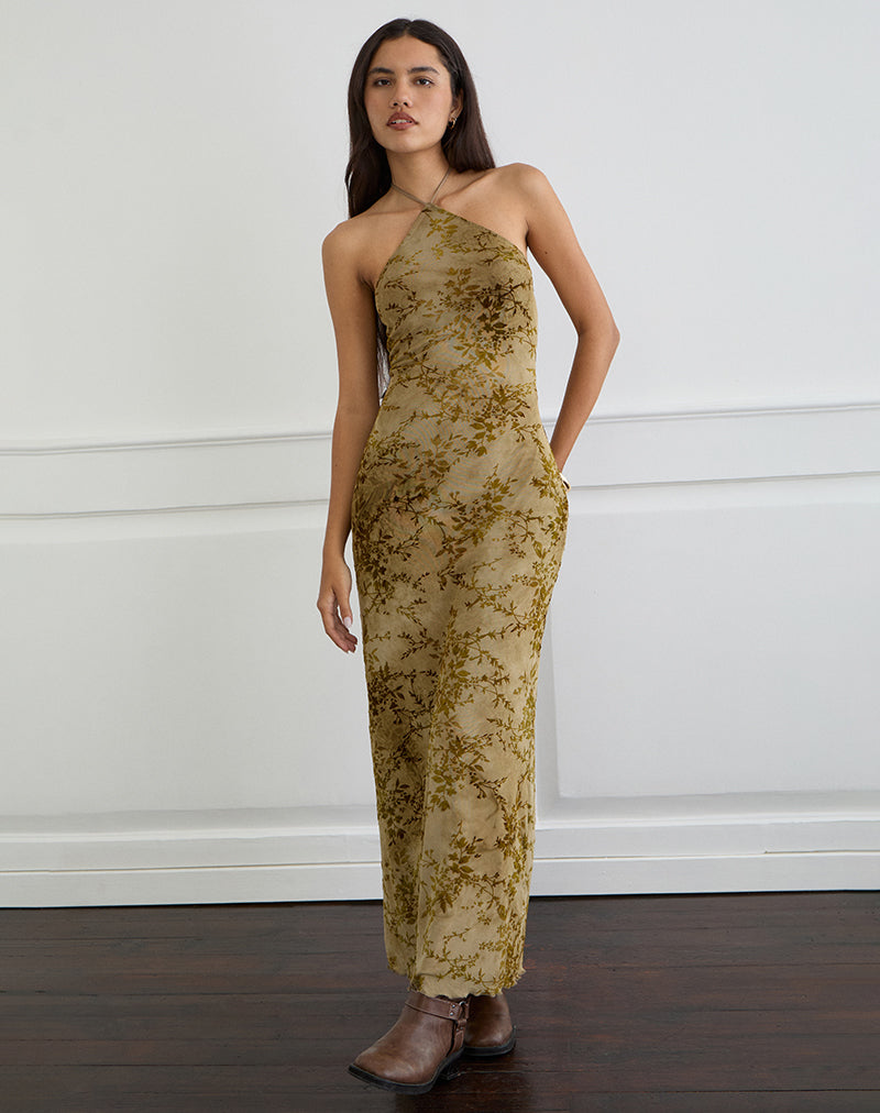 Rabika Maxi Dress in Burn Velvet Green