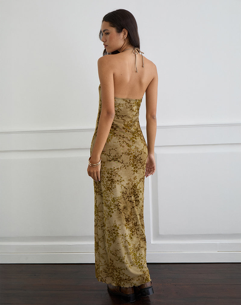 Rabika Maxi Dress in Burn Velvet Green