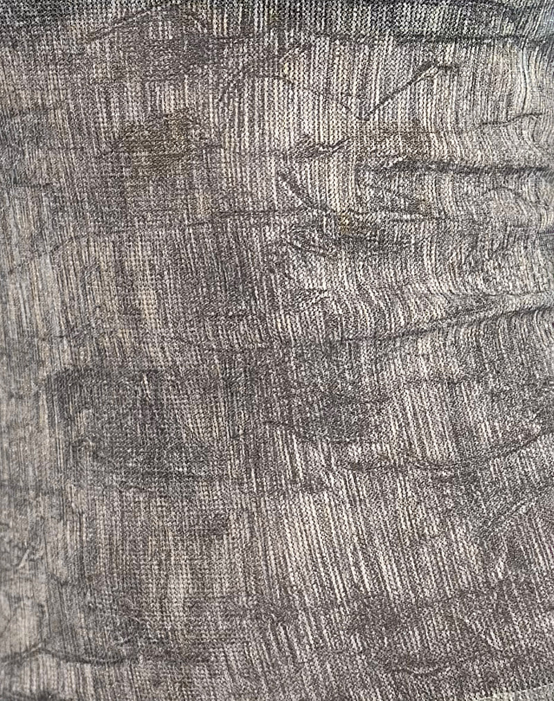 Sheiza Long Sleeve Top in Sheer Mesh Grey