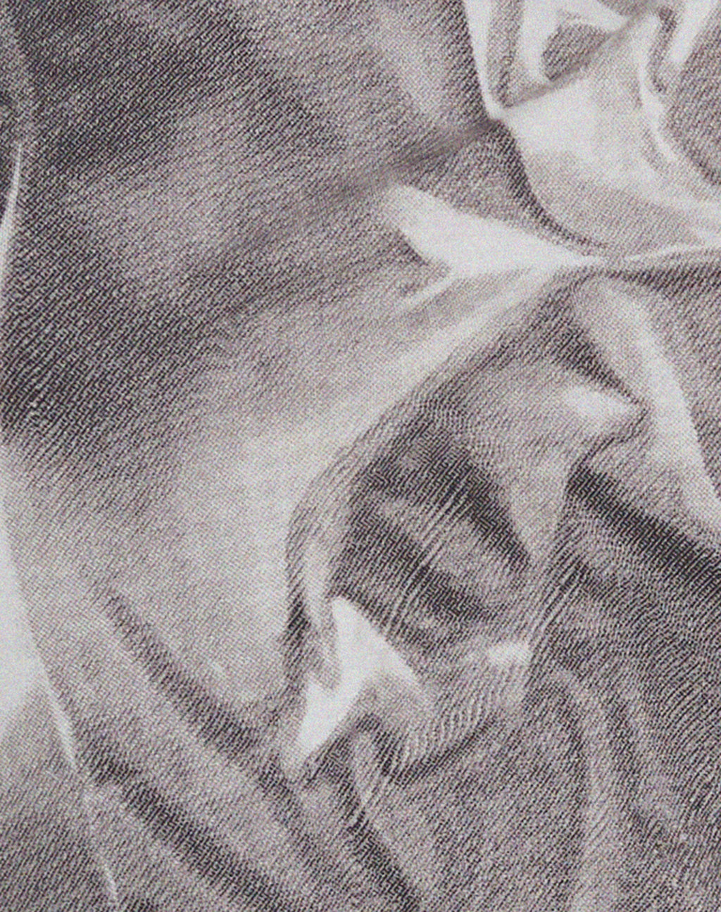 Tiona Cropped Tee in Dystopian Crease Grey