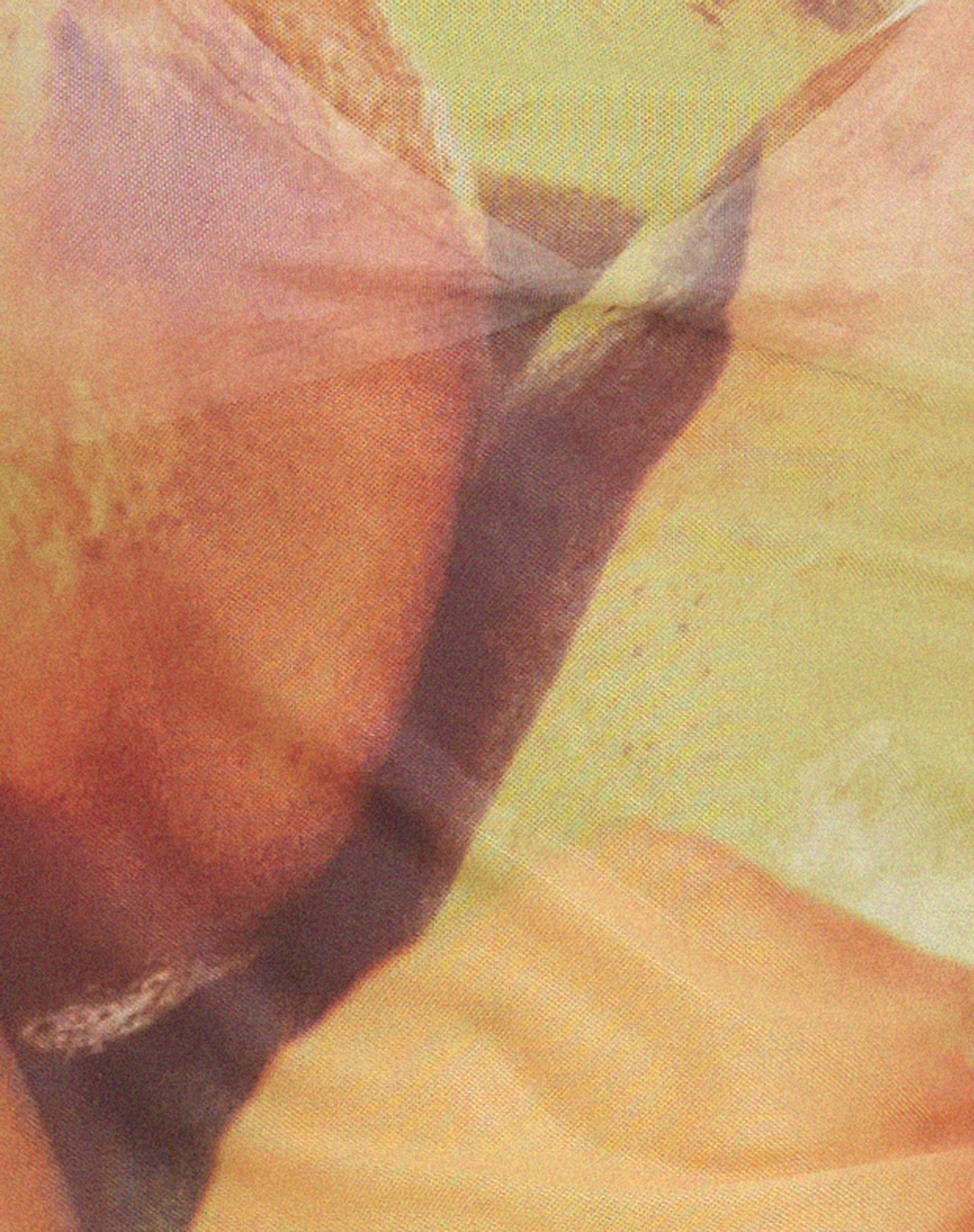 Vrista Top in Fruit Photoprint